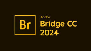 Adobe Bridge 2024 giúp người dùng dễ dàng quản lý và tổ chức tài liệu, ảnh, video trong các dự án sáng tạo.