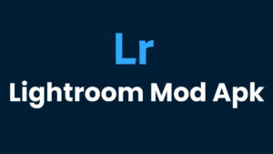 Phiên bản mod APK Lightroom 2024 giúp bạn sử dụng phần mềm mà không cần đăng ký tài khoản.