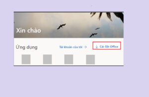 Tải xuống Office 365