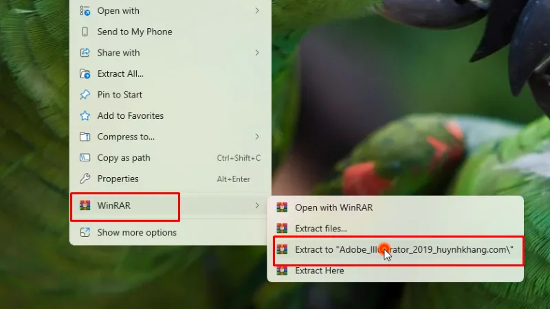 Adobe Illustrator 2019: Hướng Dẫn Toàn Diện 11 Giải nén phần mềm Adobe Illustrator 2019
