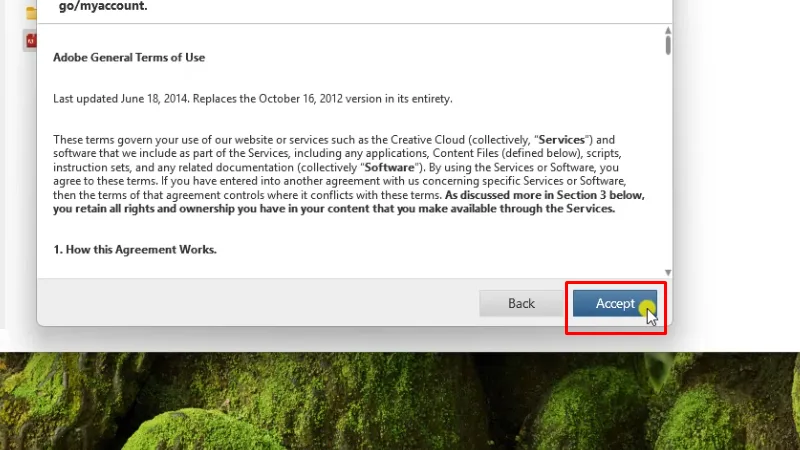 Tải Lightroom 2017: Hướng Dẫn Cài chi tiết 17 Bấm vào Accept