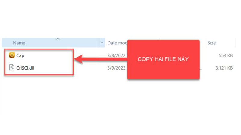 Copy các file có trong thư mục này