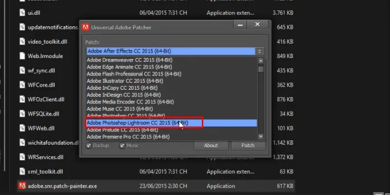 Lightroom CS6 Hướng Dẫn Cài Đặt Chi Tiết 27 chọn phiên bản lightroom như hình