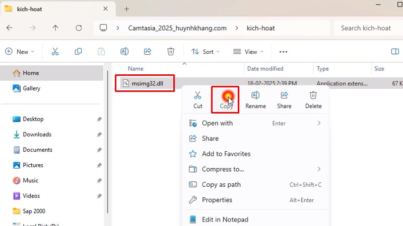 Copy file như hình
